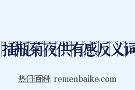 插瓶菊夜供有感反义词是什么意思的图片